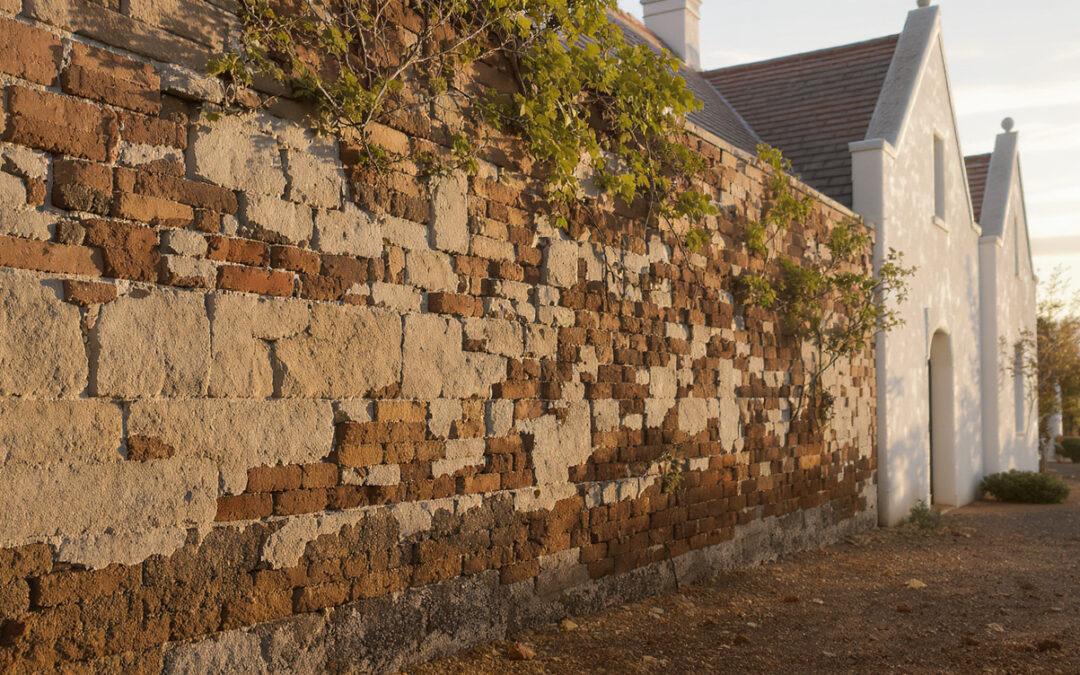 Rising Damp Treatment in Heritage Buildings: Expert Diagnosis Guide